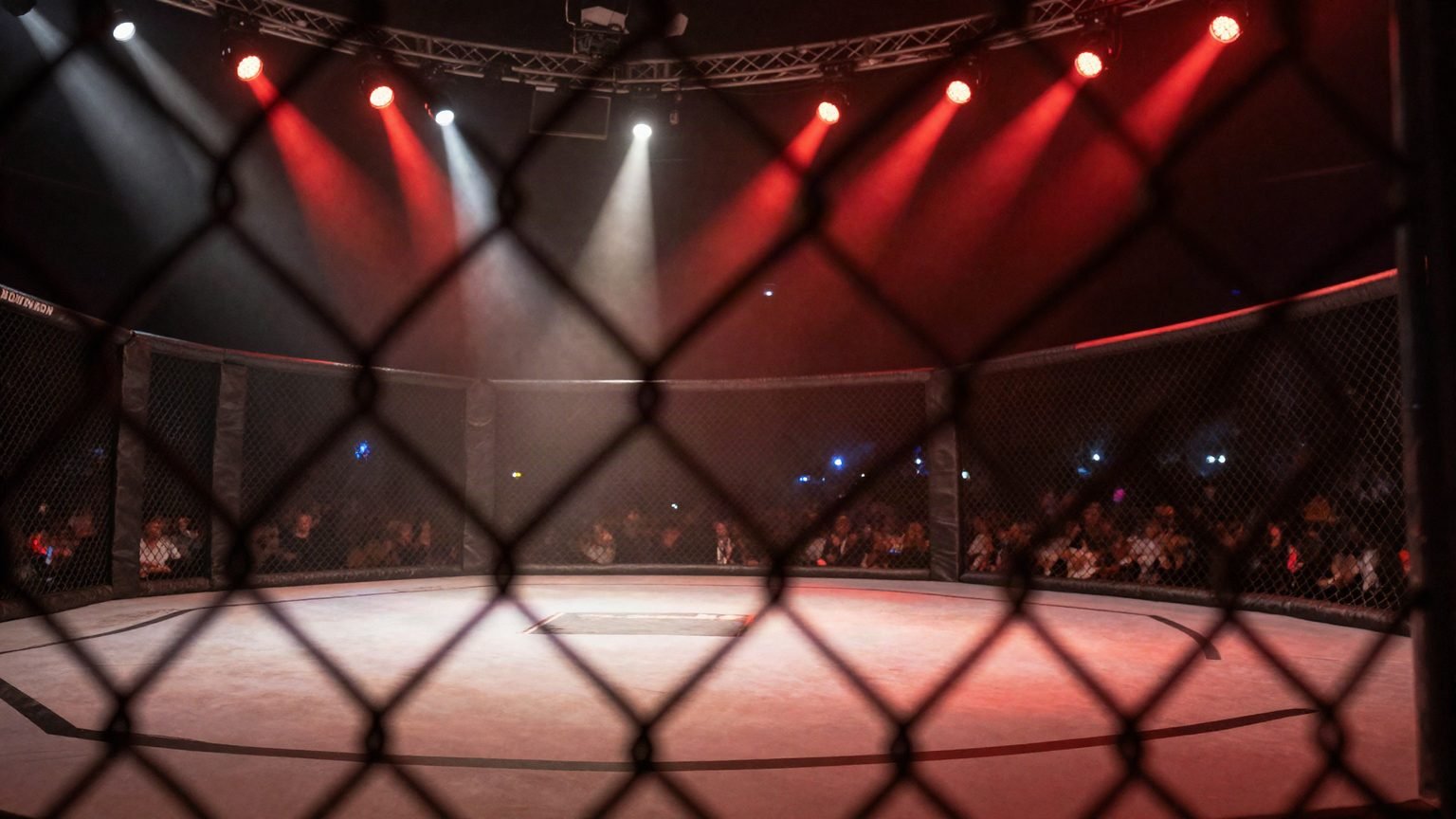 Typy na MMA i KSW — analiza walki w klatce